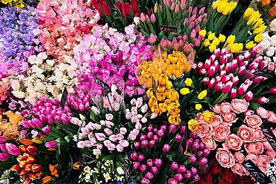 实体版《星球大战：法外狂徒》游戏安装需要联网