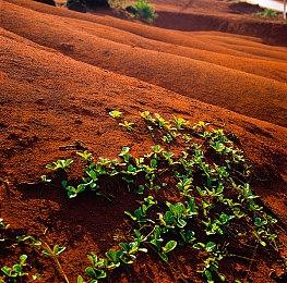 《逆向坍塌：面包房行动》开启一周年史低折扣，有奖同人征集活动火热进行中